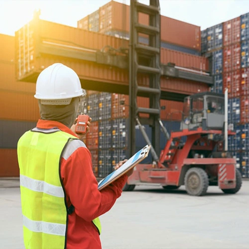 USL reviewing customs clearance documentation for a shipment